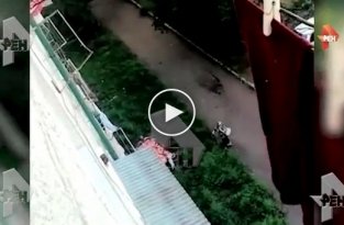 Ребенок выпал из окна жилого дома, расположенного на Калининской улице во Владивостоке