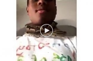 Этот парень решил показать, что повесить змею на шею, это не так опасно