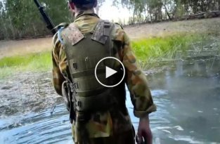 В Австралии огромный крокодил попытался атаковать двух мужчин, охотившихся на кабанов