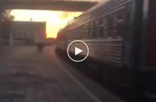 В Воронеже ради человека из РЖД остановили пассажирский поезд