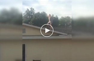 Женщина перебрала с алкоголем и залезла на крышу