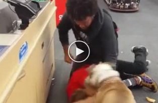 Разборки в магазине и кусючая собака