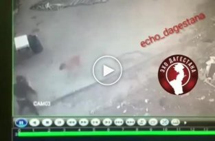 Житель Дагестана подрался с напавшей на него бродячей собакой