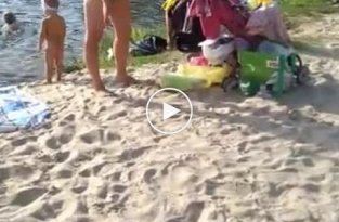 Девушка с ребенком пришла на городской пляж и сделала замечание мусорившей хамской матери (мат)