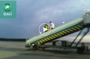 Пьяный пассажир устроил драку с сотрудником службы безопасности аэропорта Домодедово