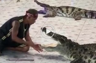 В Таиланде мужчина засунул руку в пасть крокодилу, но что-то пошло не так