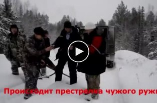 Губернатор Иркутской области поохотился на спящего медведя