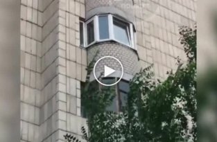 В Казани дочь пыталась спасти мать, которая падала с балкона