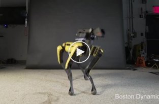 Boston Dynamics научили робота-собаку Spot танцевать под музыку