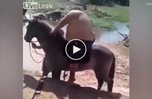 С таким весом садиться на лошадь жестоко!