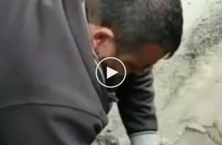 В Турции мужчина спас щенка, сделав ему искусственное дыхание