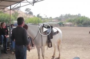Лошадь решила помочь не опытной всаднице