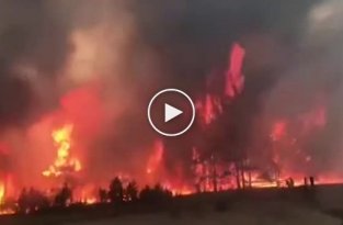 Причиной смога в Иркутске стали лесные пожары