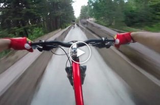 Скоростной спуск на велосипедах по заброшенной бобслейной трассе