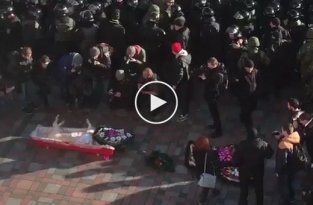 В Киеве к зданию Верховной Рады принесли свинью в гробу
