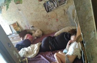 В питерской квартире среди гор дерьма выживали дети (6 фото)