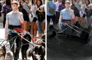 Дэниэл Рэдклифф на съёмках фильма вышел погулять с собаками и стал героем весёлой битвы фотошоперов (13 фото)