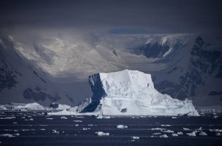 Антарктида в объективе (22 фото)