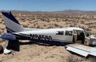 Аварийная посадка самолета от первого лица (2 фото + видео)