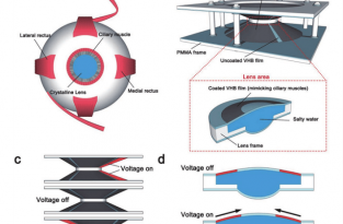 Ученые изобрели контактные линзы, которыми можно управлять при помощи движений глаз