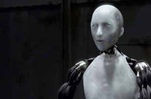 Толерантность будущего: людей обвинили в расизме по отношению к роботам