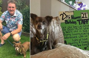 Британская собака-долгожитель отметила свой 21-й день рождения (4 фото)