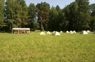Детский лагерь в Сибири подвергся необычному ограблению (3 фото)