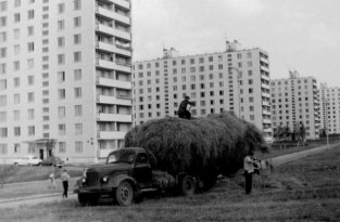 Москва 1960-1980-х годов (20 фото)