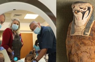 Маленькие древнеегипетские мумии раскрыли свои нечеловеческие тайны (8 фото)