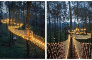 Путешествуем онлайн: самый волшебный мост в Индонезии (7 фото)