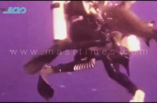 На немку у берегов египетского Марса-эль-Алама напала акула (4 фото + 1 видео)