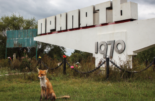 Чернобыль: путеводитель сталкера (21 фото)