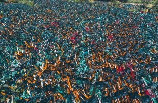 Кладбище для велосипедов (4 фото)