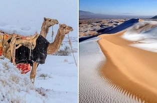 Пустыня Сахара покрылась льдом, а в Саудовской Аравии выпал снег (20 фото)
