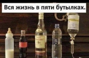 Лучшие шутки и мемы из Сети. Выпуск 203
