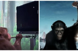 Компания Маска показала, как обезьяна играет в видеоигры 