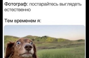 Лучшие шутки и мемы из Сети. Выпуск 266