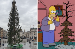 Британцы высмеяли в Твиттере рождественскую елку, подаренную Норвегией (26 фото)