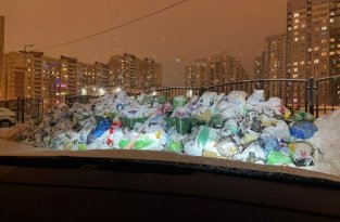 В Петербурге настоящий ад с уборкой снега и мусора (10 фото + 2 видео)