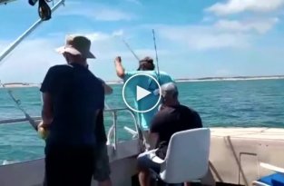 Рыбалка - опасное занятие, особенно, когда ловишь акулу