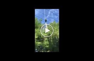 Экстремальная стрижка деревьев вертолетом