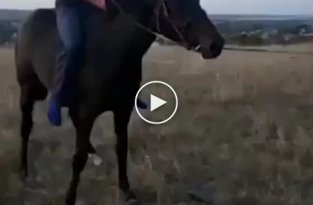 Экстренное катапультирование с коня