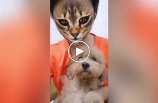 Веселая реакция собак, когда они видят кошачий фильтр на лицах владельцев