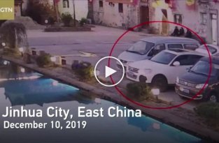 В Китае собака утопила хозяйский автомобиль в пруду