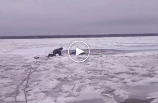 Спасение провалившейся под лед лосихи в Нижегородской области