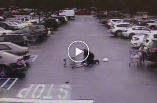 Прохожий сбил преступника с ног магазинной тележкой и помог полицейскому