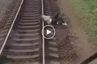 В Подмосковье машинисты поезда спасли девушку, которая не желала быть спасенной