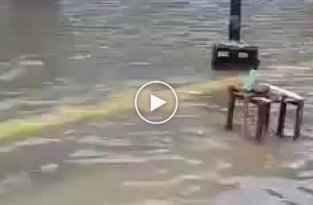 Просто наводнение и смешной момент