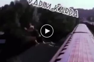 Двое парней прыгнули в Днепр с вагона метро в Киеве