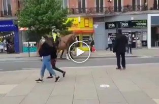 Полицейские лошади испугались нарисованного на дороге флага ЛГБТ